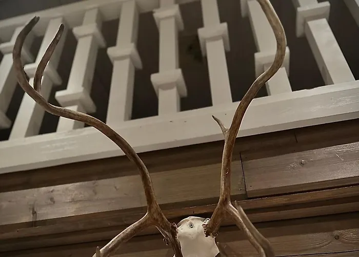 Reindeercabin Poromoekki Levi
