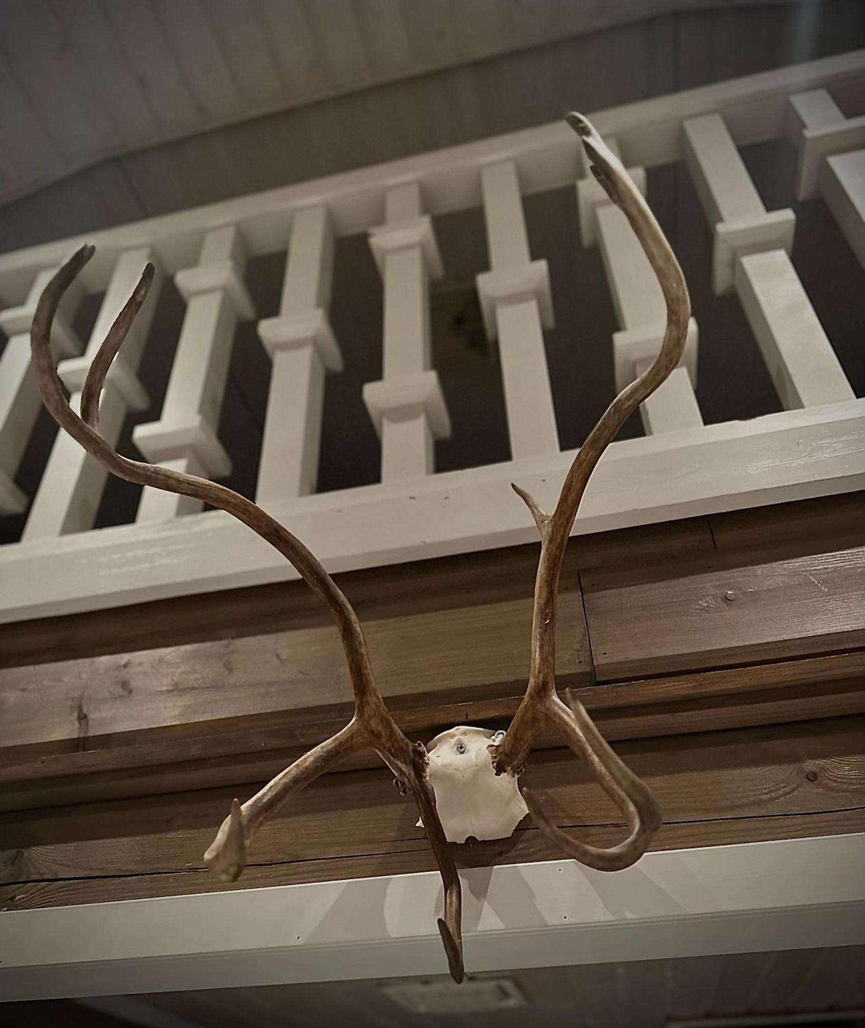 Reindeercabin Poromoekki Levi
